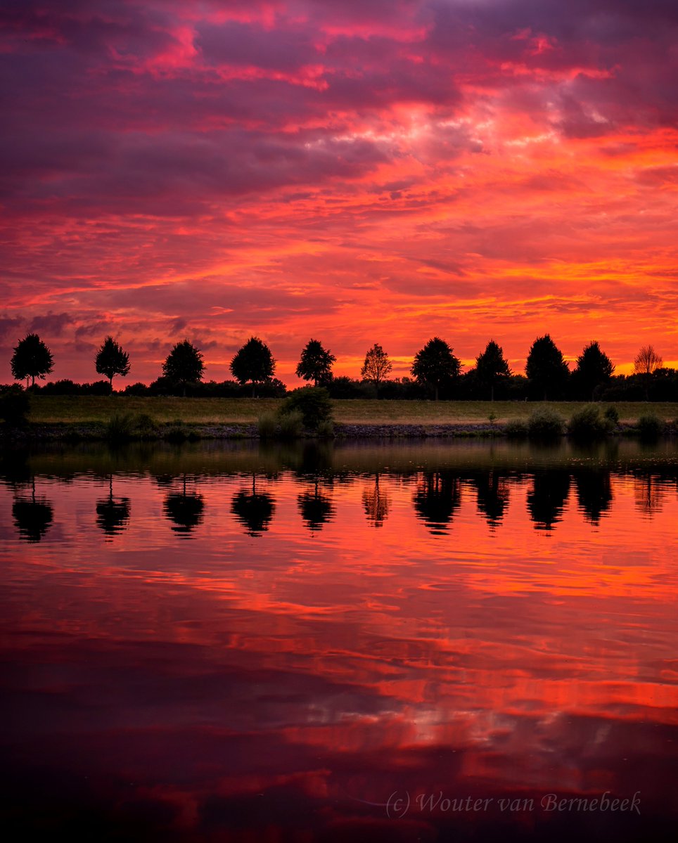 StormchaserNL's tweet image. 🌤 Bomenrijtje met een prachtige #zonsondergang, gisteravond langs de Maas in Limburg!
