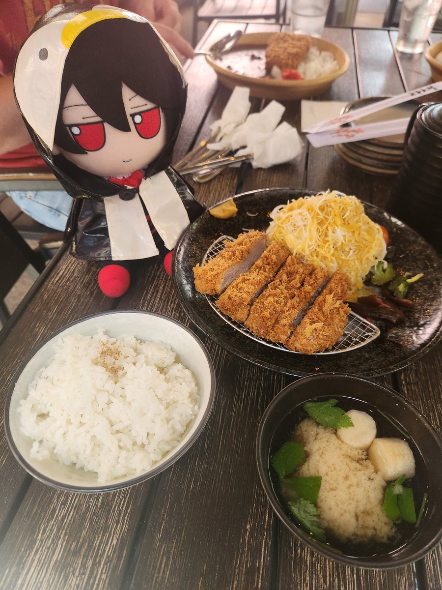 plushpenguin's tweet image. I treated myself to an exquisite pork cutlet and a visit to some feathered friends.