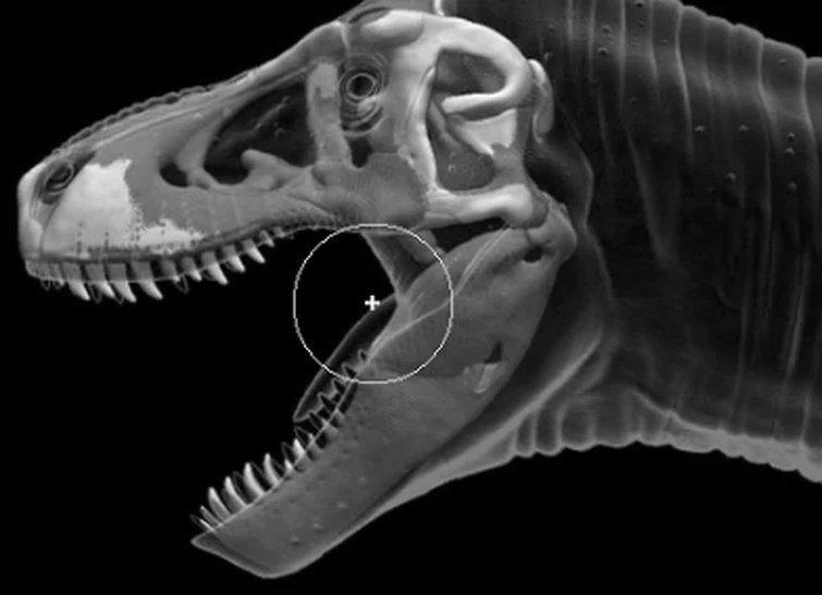 Kira Zhuravel 🇺🇦 tweet media