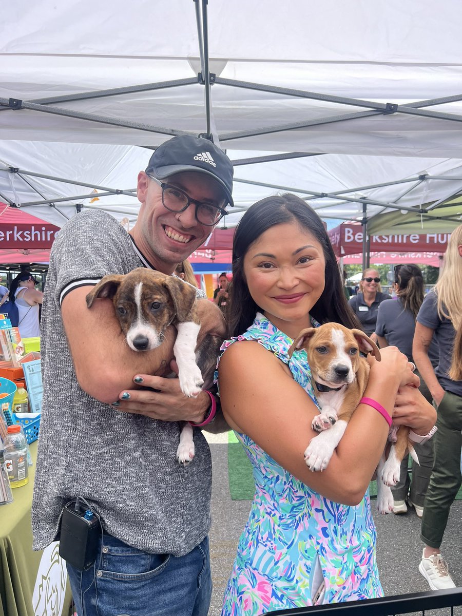 RyanWelchPhotog's tweet image. Sure, Patriots training camp started today… but outside in the village they had PUPPIES!! All but one of the pups brought in by the @PotterLeague today were adopted, and the last one was put on a hold by a family in the final minutes of the day!