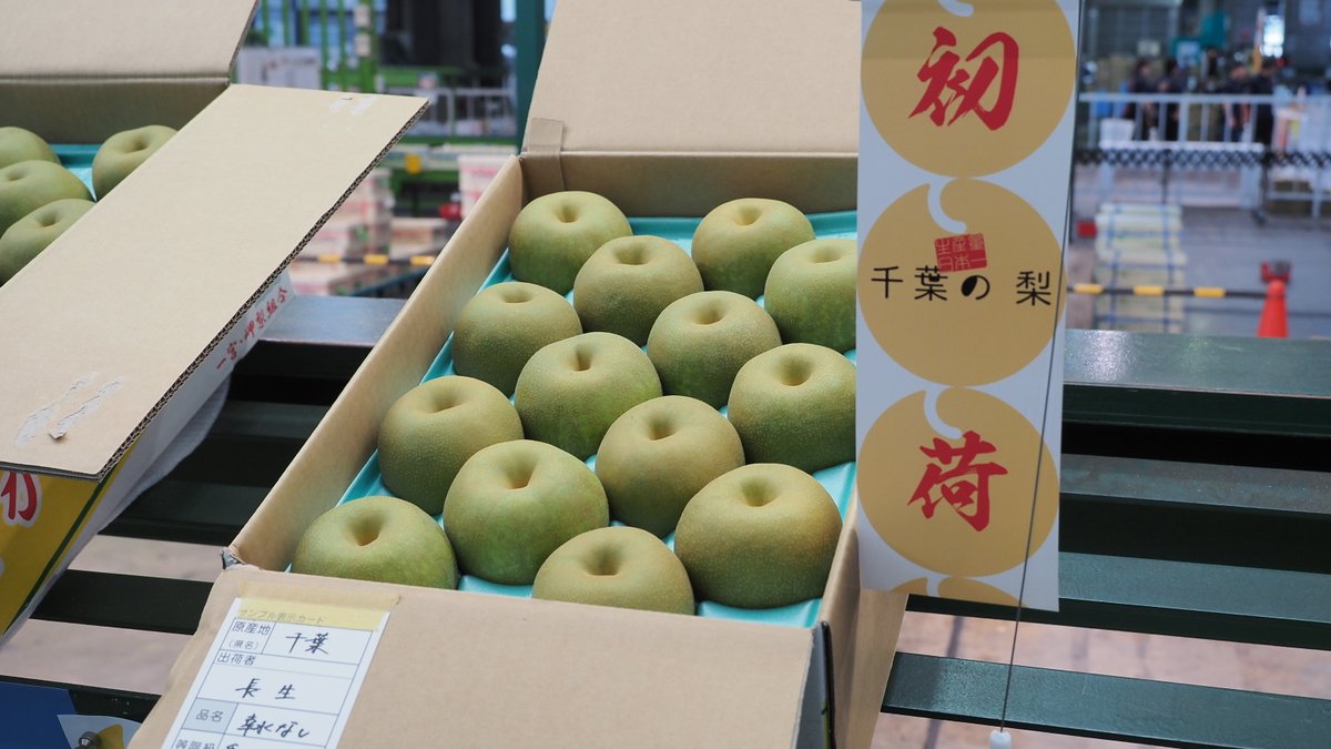 chibaken_kouhou's tweet image. \ #日本一の千葉の梨 シーズン到来!/
千葉県は日本なしの産出額27年連続日本一!
今朝、 #大田市場 で千葉県産 #幸水 の初競りがありました。
これから 、#豊水 #あきづき #新高 #秋満月 と、10月上旬まで「日本一の千葉の梨」をお楽しみください!