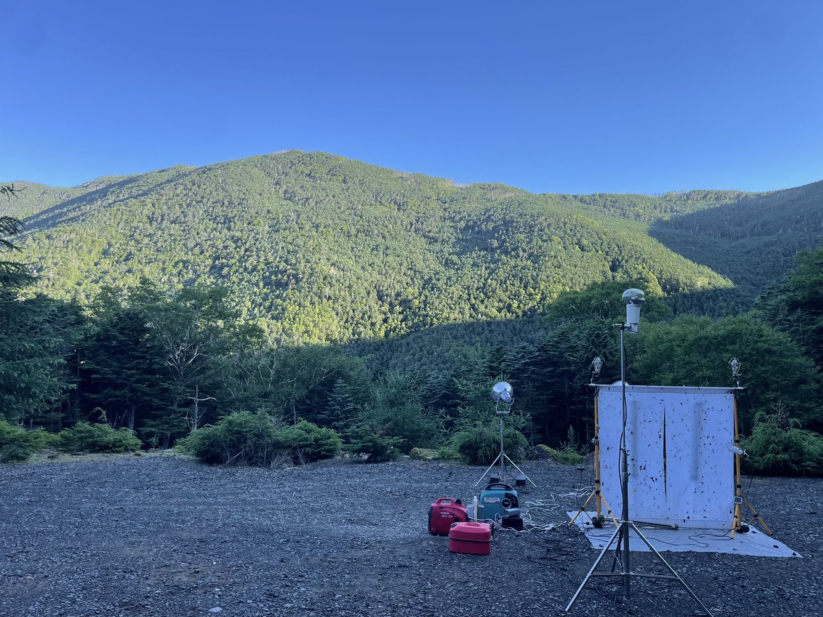 A2113Y's tweet image. 高山帯の朝は気持ちいい☺️️☀️.°⛰️
(片付けはだるいw)