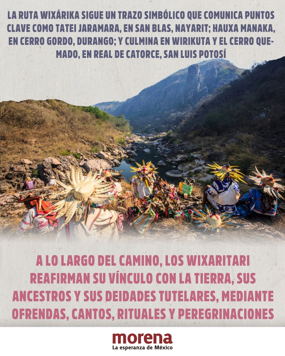 PartidoMorenaMx's tweet photo. La inclusión de la Ruta Wixárika por los Sitios Sagrados hasta Wirikuta en la Lista del Patrimonio Mundial de la @UNESCO_es representa un gran acontecimiento para México.

Con el reconocimiento de las prácticas tradicionales que protegen al planeta no sólo se busca resarcir los daños del pasado, también es una oportunidad para construir una nueva relación entre el Estado mexicano, los pueblos originarios y la naturaleza.

En Morena creemos que en los pueblos indígenas descansa la mayor reserva de valores morales, culturales y espirituales que nos alimentan, nutren y dan fortaleza para enfrentar cualquier adversidad.