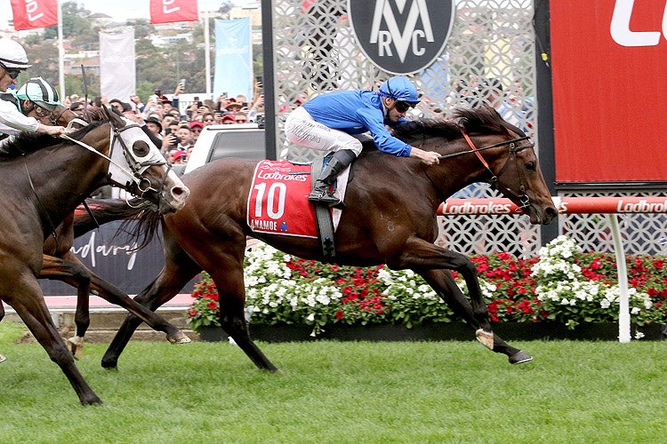 In the lead-up to James Cummings departure from Godolphin, we look at the stars who shined brightest in his time as Sheikh Mohammed’s head trainer. 
 racingandsports.com.au/news/racing/ne…