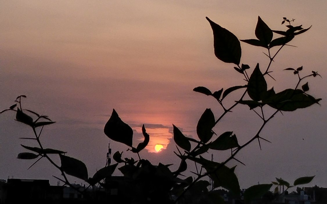 Have a wonderful day ahead 
आपका दिन मंगलमय हो। हर हर महादेव 
Day 1025 of being homeless and battling on.....
#JusticeforAlkaRay 
#theme_pic_India_Sunrise