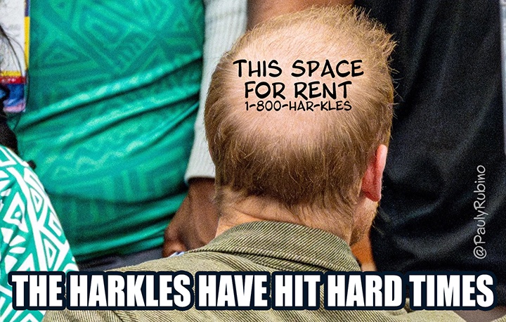 PaulyRubino's tweet photo. 1-800-HARKLES
#HelpTheHarklesMakeMoney https://t.co/4y1z6BvI9t