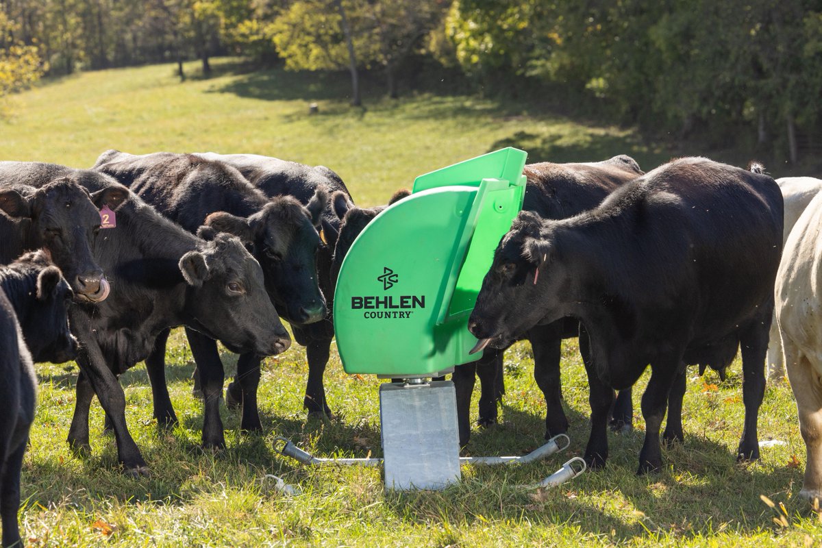 BehlenCountry's tweet photo. Don’t let summer stress rob your herd of the minerals they need. Our Mineral Feeders protect your investment and keep nutrients where they belong.
📍 Find a dealer: https://t.co/D939zPPi2K
#BehlenCountry #BuiltbyBehlen #RanchLife #FarmLife #BuildYourLegacy #mineralfeeder https://t.co/Xn3z2YUTHZ
