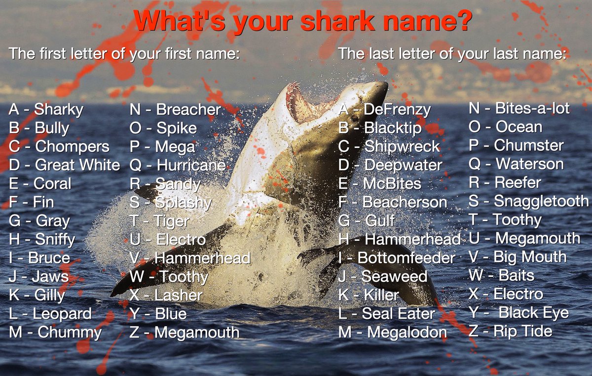 TOOTHY SHIPWRECK 🤣💯🤘🏼🏴‍☠️
#YourSharkName 🦈 #SharkWeek