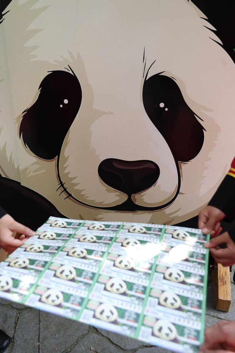 AnitaLomeli's tweet image. Hoy celebramos los 35 años de Xin Xin, la única panda gigante de América Latina. Con el billete conmemorativo de @lotenal, presentado por @ClaraBrugadaM, honramos a este símbolo de la #CapitalDeLaTransformación. Gracias al embajador @ChenDaojiang por fortalecer nuestros lazos.