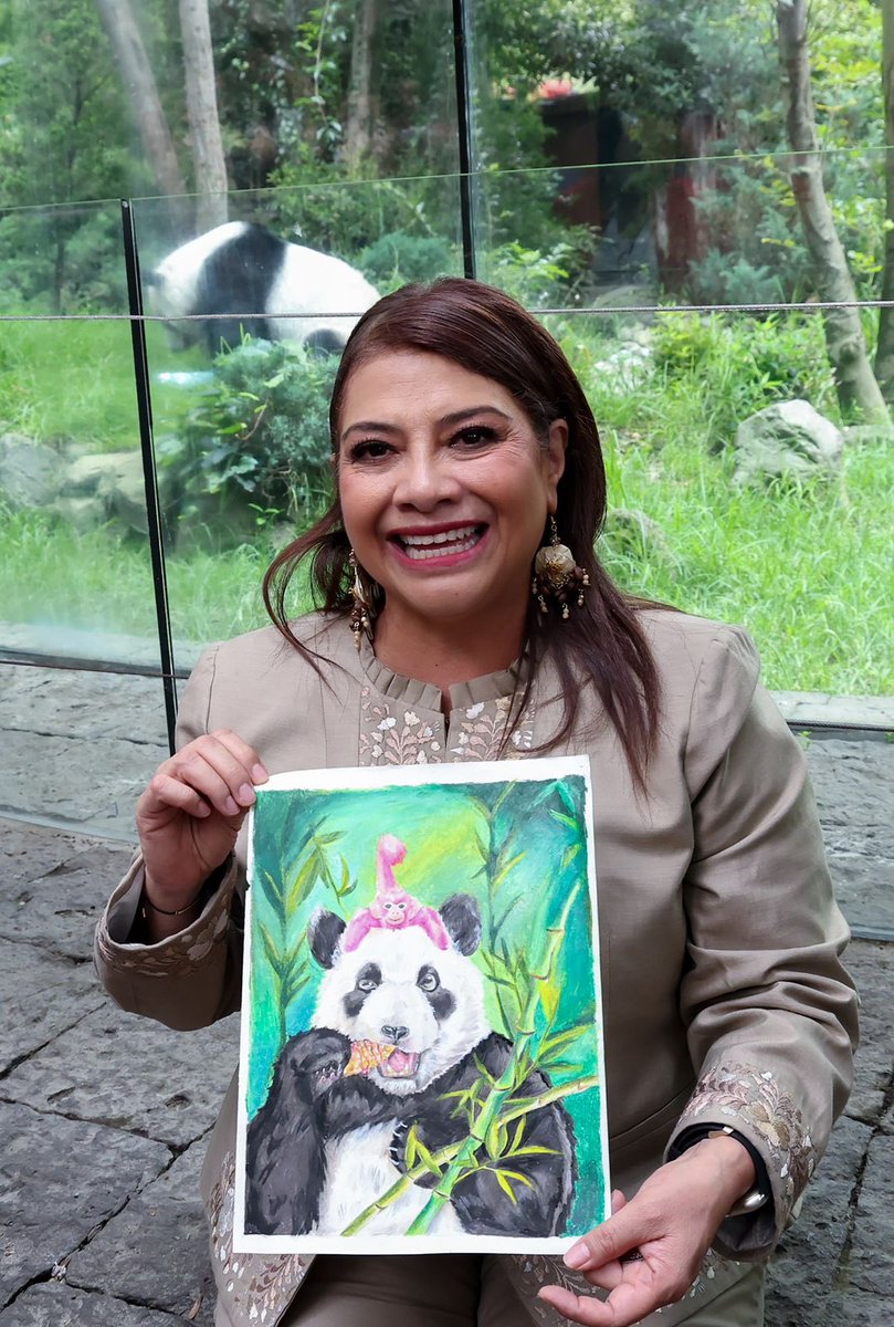 AnitaLomeli's tweet image. Hoy celebramos los 35 años de Xin Xin, la única panda gigante de América Latina. Con el billete conmemorativo de @lotenal, presentado por @ClaraBrugadaM, honramos a este símbolo de la #CapitalDeLaTransformación. Gracias al embajador @ChenDaojiang por fortalecer nuestros lazos.