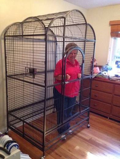 MichaelToro340's tweet image. Grandma’s not coming out of the cage until the Tigers win a series