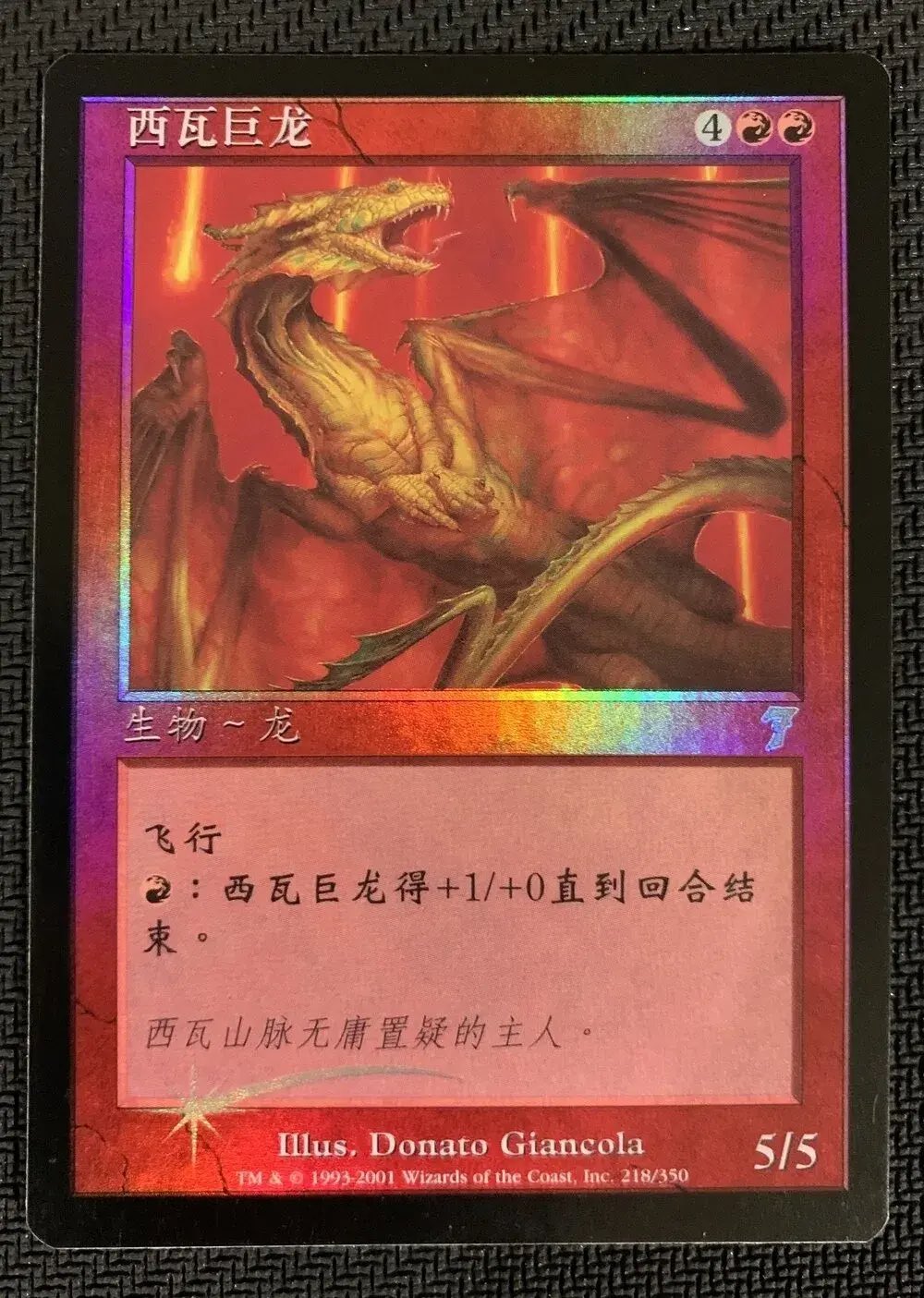ドラゴン魔道士 foil 繁体字 中国語 他言語 ミントモール / MINT GAMES MTG(東日本橋) / 【M20】【ENG