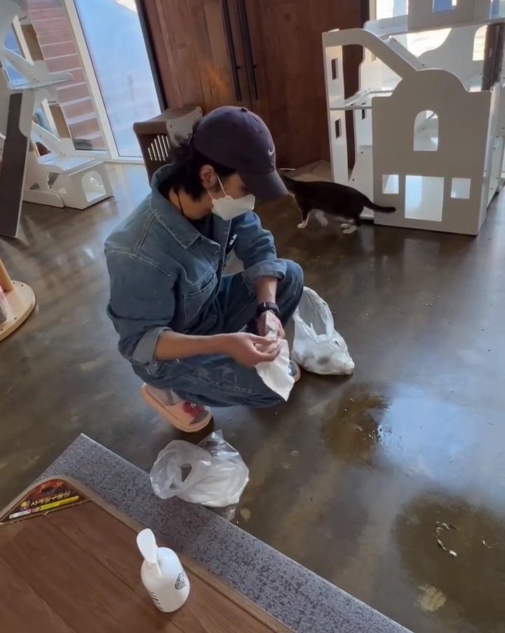 매번 봉사다니던 유기묘보호소에 한번에 사료 2.5톤 기부ㅁㅊ
이게 바로 유승호야