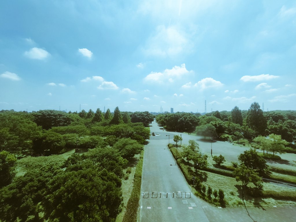 miki_mfb's tweet image. 晴れです☀