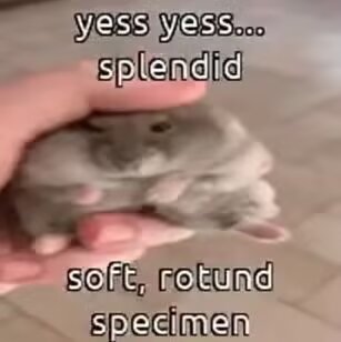 Nathanielawierd's tweet image. 