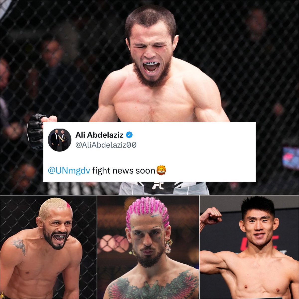 Combat_Casuals's tweet image. 🚨Umar Nurmagomedov seems to have fight news coming soon
Who would you like to see Umar face in his octagon return⁉️