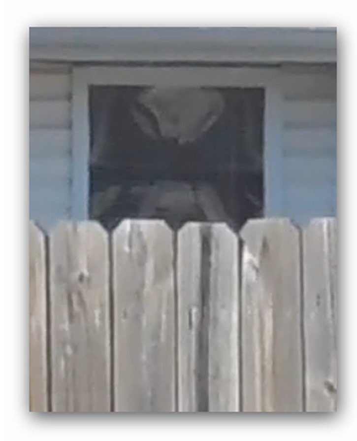 yeage62754's tweet image. Each time the FBI Attacks America with radiation WMDs, it’s an act of war.
You may not start a civil war and cry when your soldiers get hurt. The FBI started this war.
