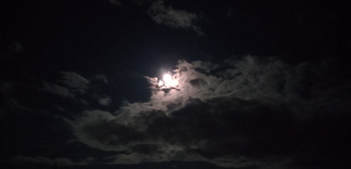 johoomoku's tweet image. おはようございます🌕️❗️❗️