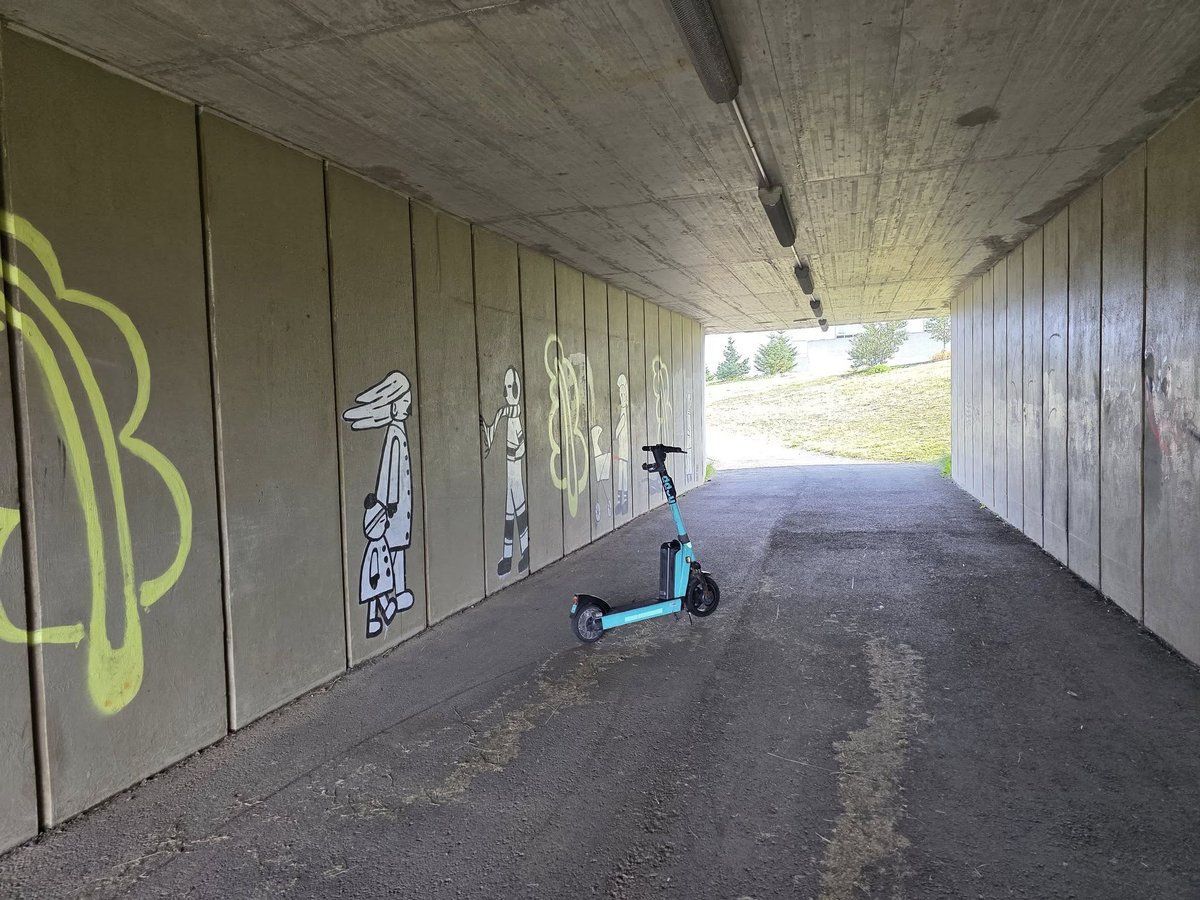 Verst lagða rafskútan (@verstlagda) on Twitter photo 