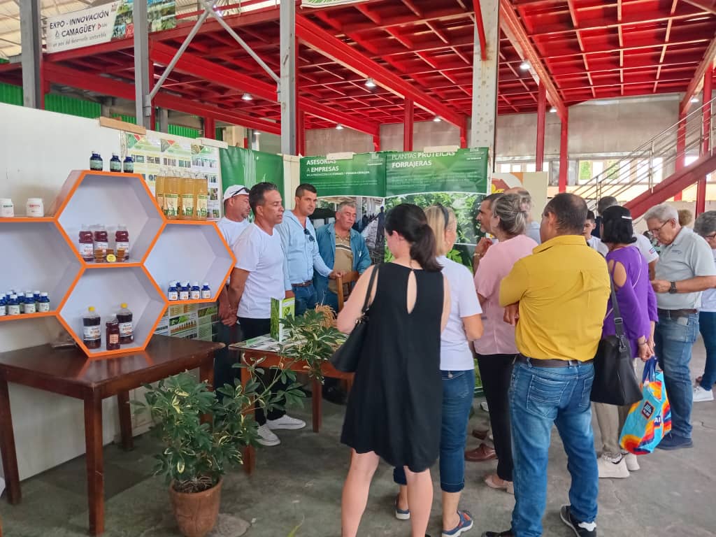 Participa la UEB Apícola Camagüey, APICUBA, de la Empresa Apícola Cubana, en la Expo-Innovación Provincial para el desarrollo, mostrando sus innovaciones que contribuyen a soluciones de problemas presentes en la provincia. #CITMACamagüey