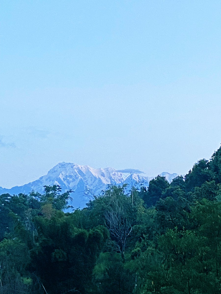 gurung_deepa's tweet image. कुइनोबाट पसिना चुहाउॅदै डॅाडा उक्लिए, एउटा रुखको पात हल्लेको हैन😕
#hotandhumidmorning