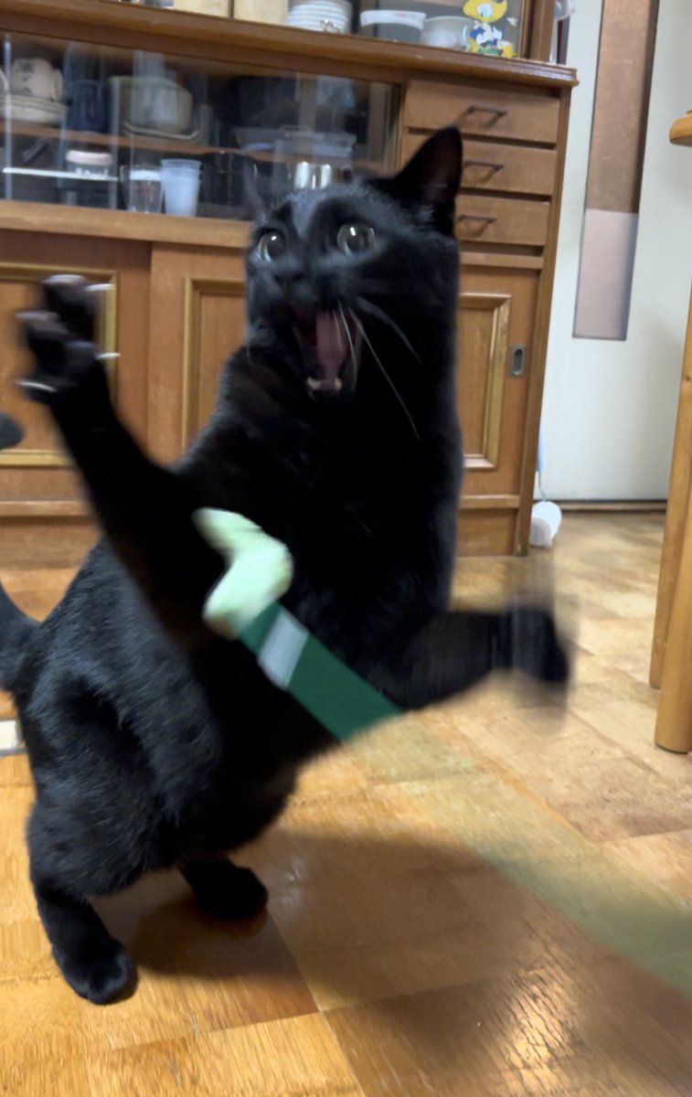 KuloxCha's tweet image. 豆菓子ゆうたらな
東ハトのビーノ1択だぞ俺🫛🐈‍⬛

東ハトアタック🏐✨