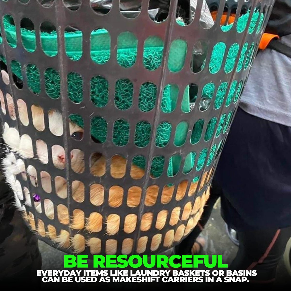 URGENT REMINDER: DON’T LEAVE THEM BEHIND!
As the heavy rains and flooding persist &amp; we anticipate more possible storms &amp; continued habagat rains, we continue to remind everyone:
PLEASE PREPARE FOR YOUR PETS
•INCLUDE THEM IN EVACUATION PLANS
•BE RESOURCEFUL
•NEVER ABANDON THEM