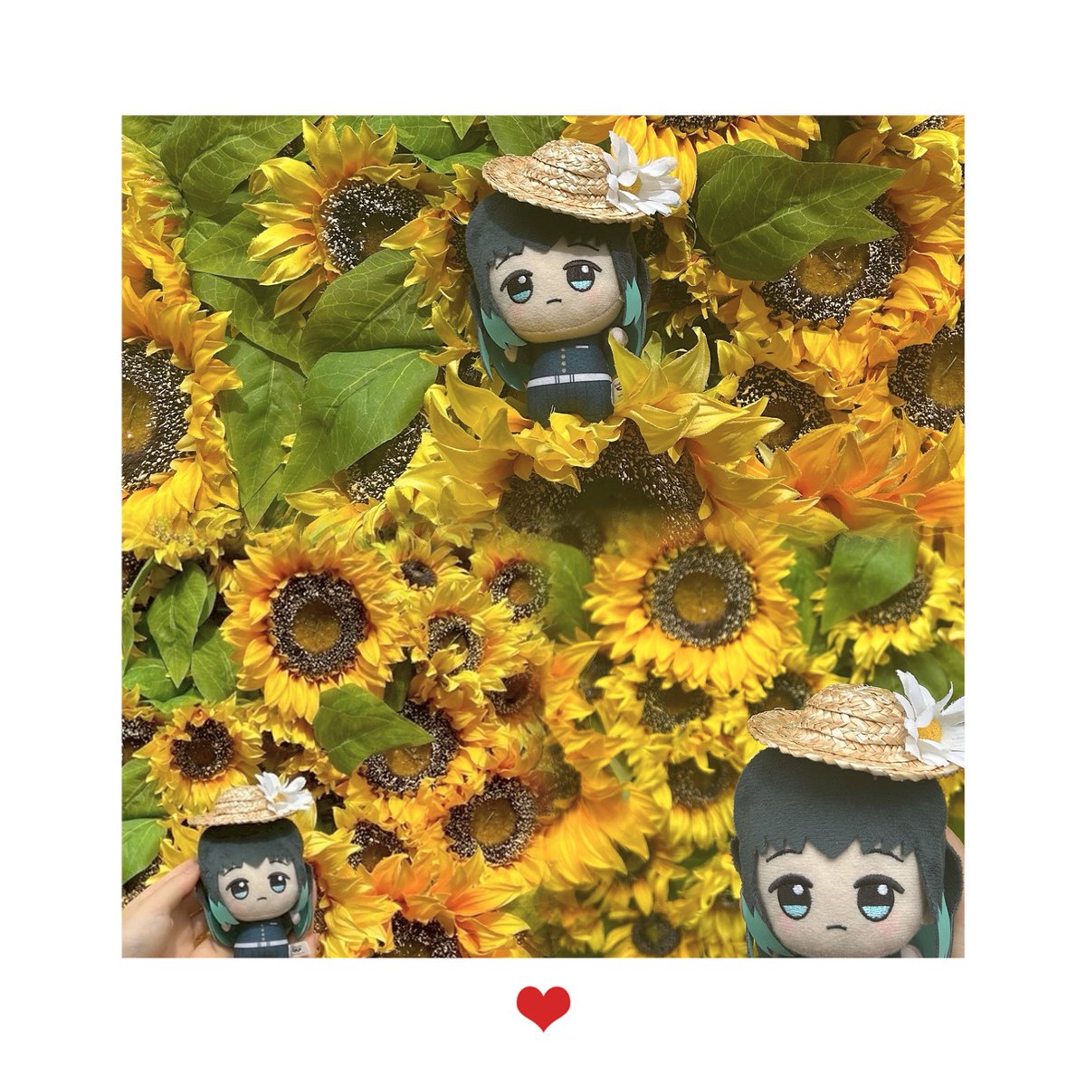 nnikoo_08's tweet image. 🌻