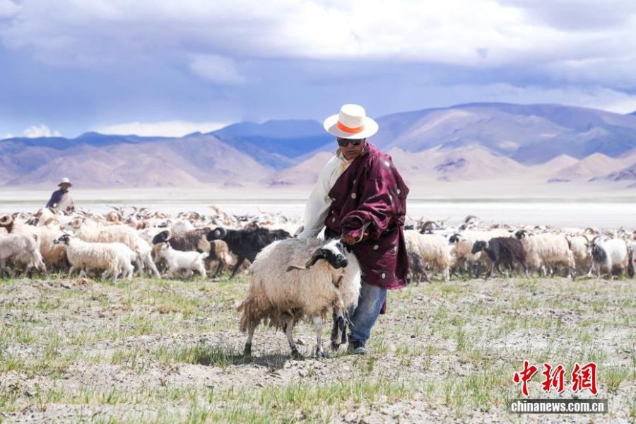 Echinanews's tweet image. Aerial photos taken on July 20, 2025 shows Yanhu Township, Geji County, Ali Prefecture, #Xizang Autonomous Region.
The Yanhu Township is one of the key nodes of the ancient Salt Sheep Road which dates back to over 1,000 years. In recent years, the establishment of crude salt…
