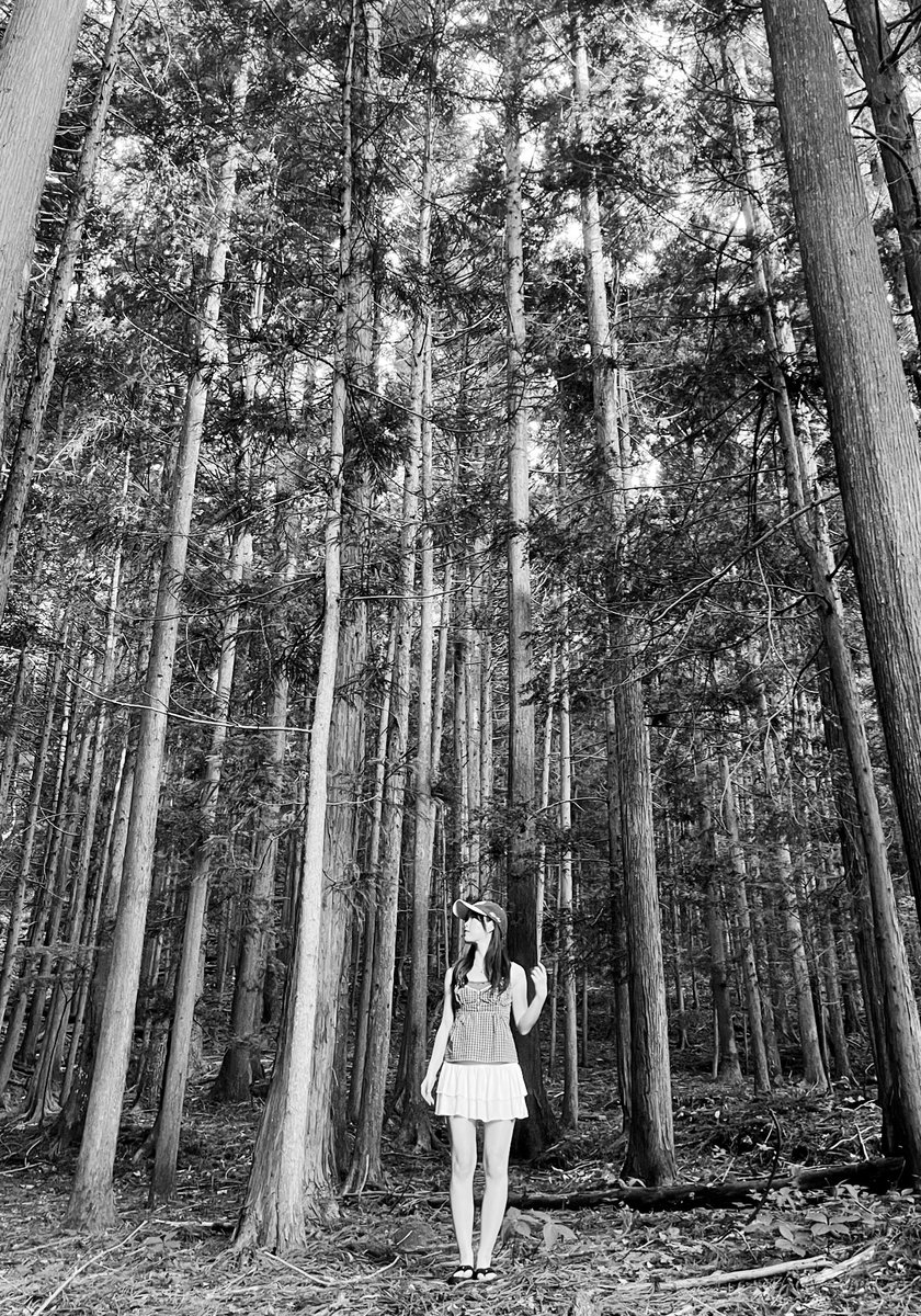 folklore aesthetic &gt;&gt;&gt;&gt;
🌲🪵🌿🌥️🍃🧚‍♂️🤍
#5YearsofFolklore <a href="/taylornation13/">Taylor Nation</a> <a href="/taylorswift13/">Taylor Swift</a>