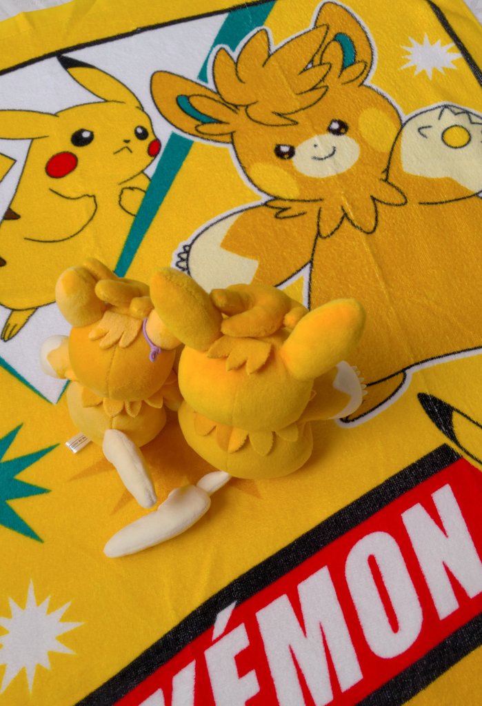 Mimi5_pamo's tweet image. パーモットとピカチュウのバスタオルもらっちゃった！でっかくてかわいい～🧡