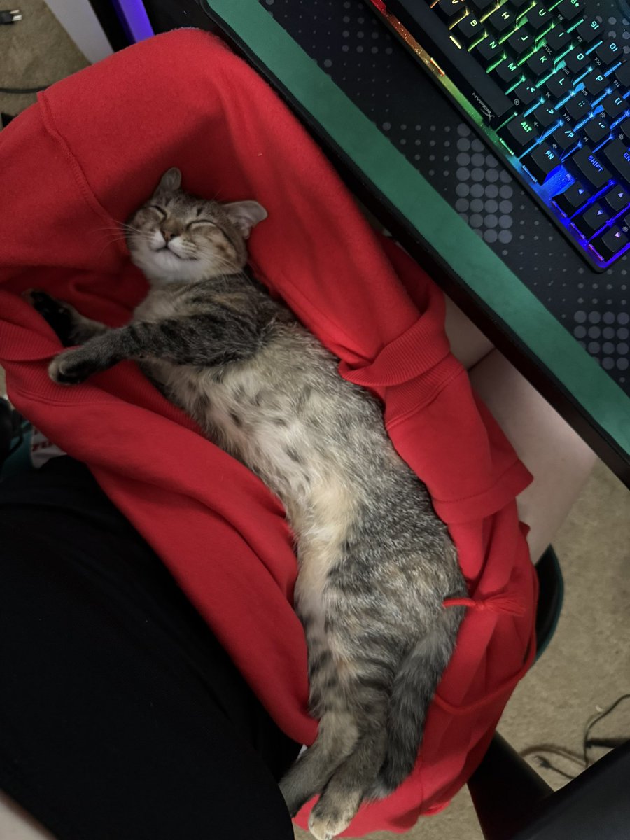 if I miss a shot, blame him not me