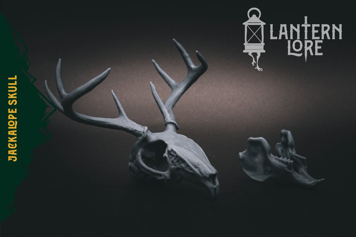 LanternLore's tweet image. Jackalope Skull – finally, hard proof that cryptids have bone structure.
Printer @mypeopoly
Resin @SirayaTech
Mat @WhamBamSystems
Model tinyurl.com/nh4wym8r
#3DPrint #Cryptid #Jackalope #Oddities #DarkDecor