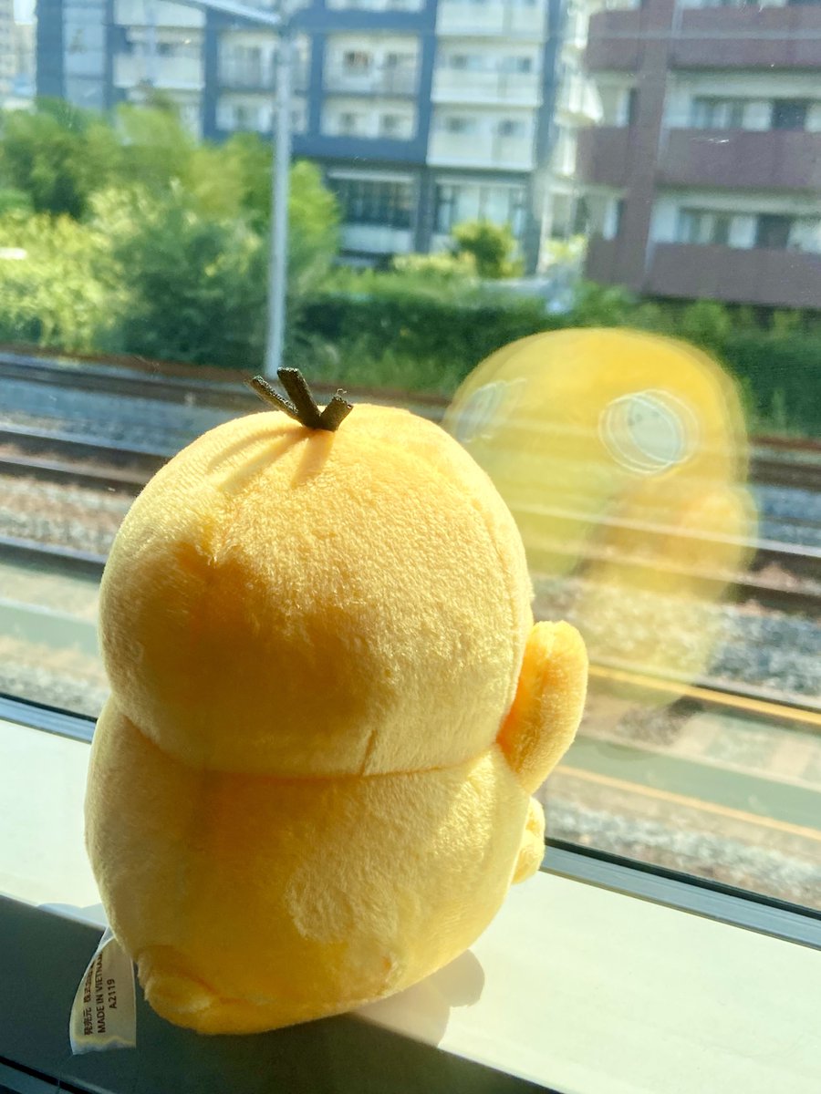はじめて乗る電車に興味津々なコダック💛⸝⸝