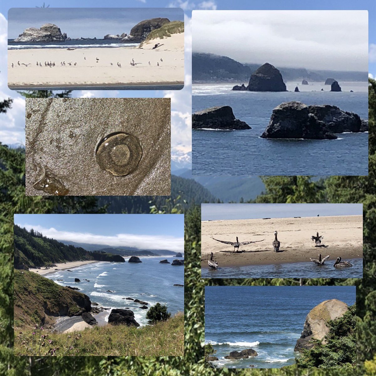 Cannon Beach OR