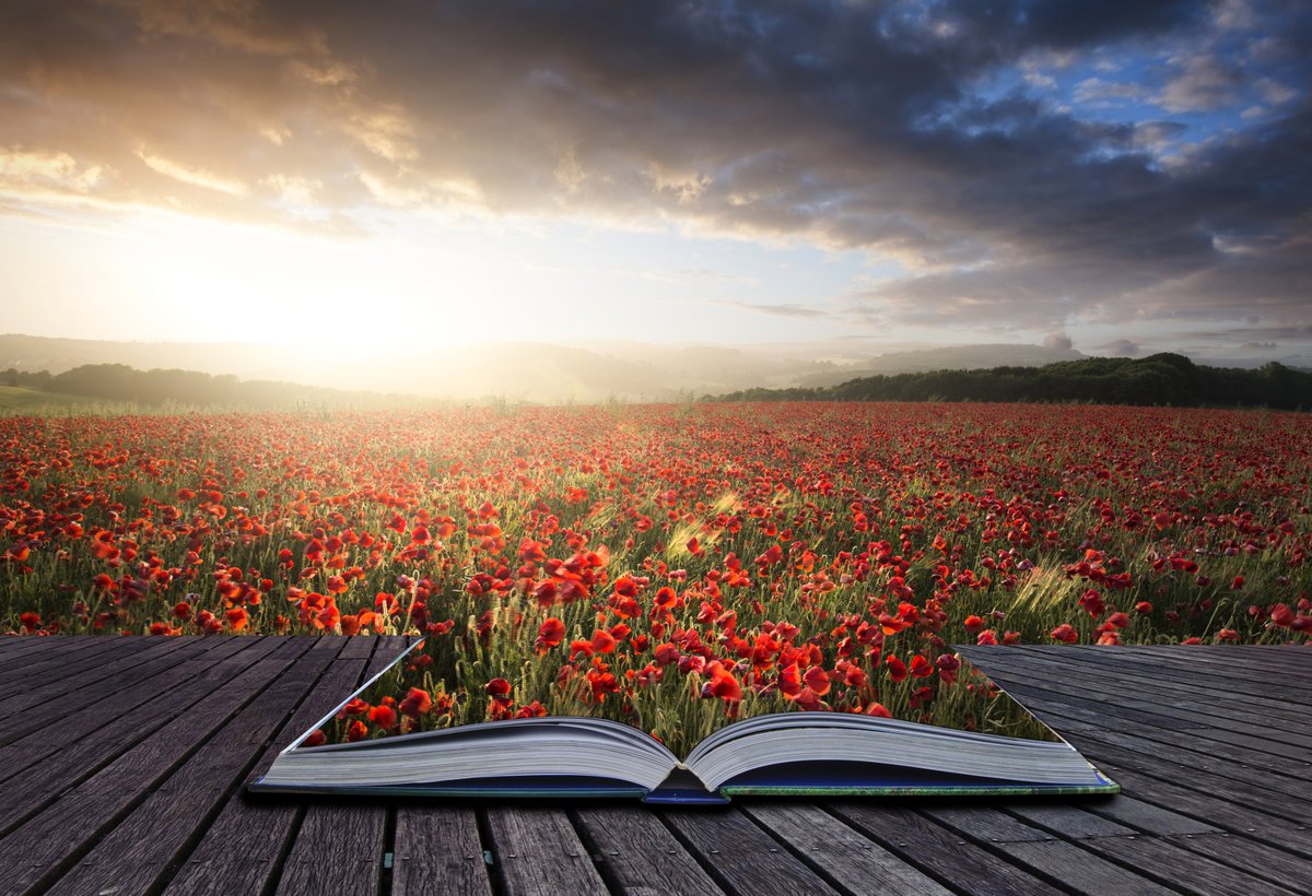 LorilynRoberts's tweet image. The Christian Author: The Art of Writing #writingcommunity #writing | Lorilyn Roberts - go.shr.lc/44mOuXj
