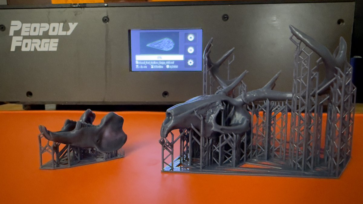 LanternLore's tweet image. Jackalope Skull – finally, hard proof that cryptids have bone structure.
Printer @mypeopoly
Resin @SirayaTech
Mat @WhamBamSystems
Model tinyurl.com/nh4wym8r
#3DPrint #Cryptid #Jackalope #Oddities #DarkDecor