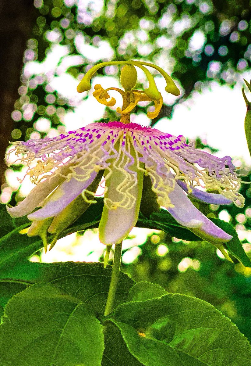 Tony Gardner (@tonytewitty) on Twitter photo 