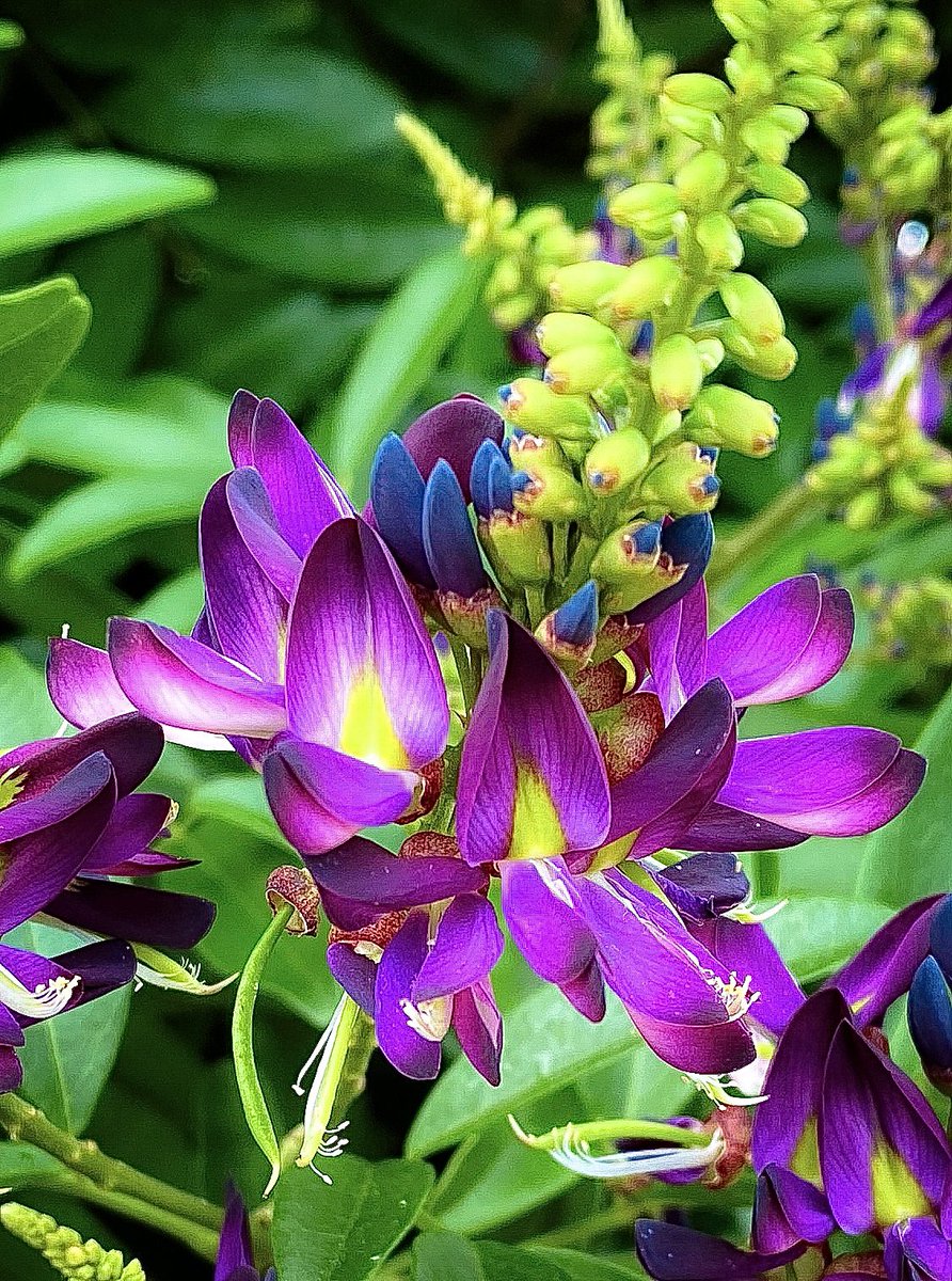 Tony Gardner (@tonytewitty) on Twitter photo 