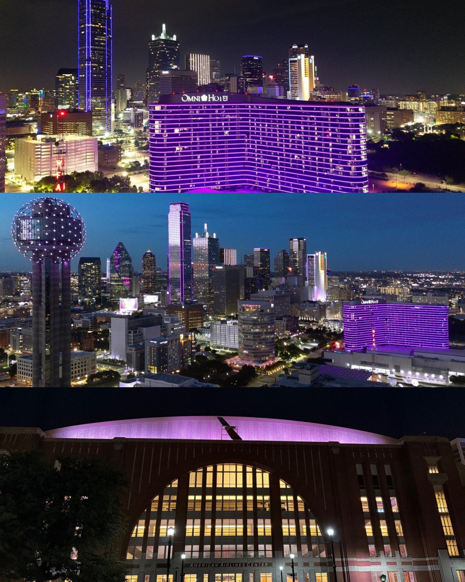 borahaegas for bts      🤝       dallas for jin