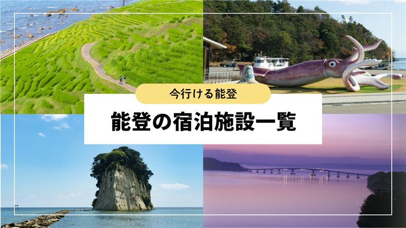 🌞この夏、親子で能登を訪れてみませんか✏

能登では、震災からの復興が少しずつ進んでいます。現地を歩きながら、復興の様子や防災の取り組みを見て感じることで、子どもたちにとっても大切な「気づき」や「学び」が生まれます。観光だけではない、心に残る体験がきっと待っています。
