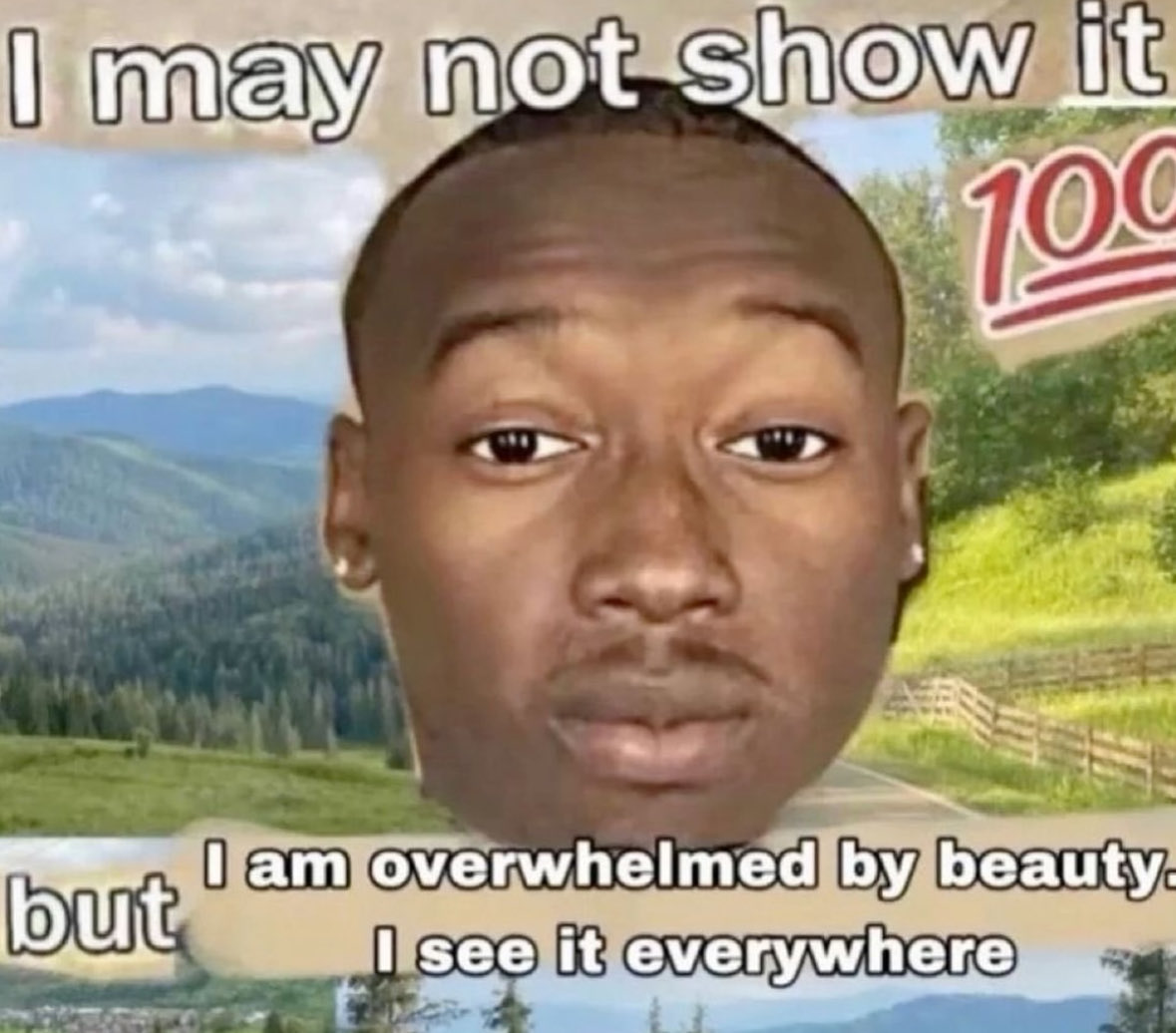 Respectful Memes (@respectfulmemes) on Twitter photo 