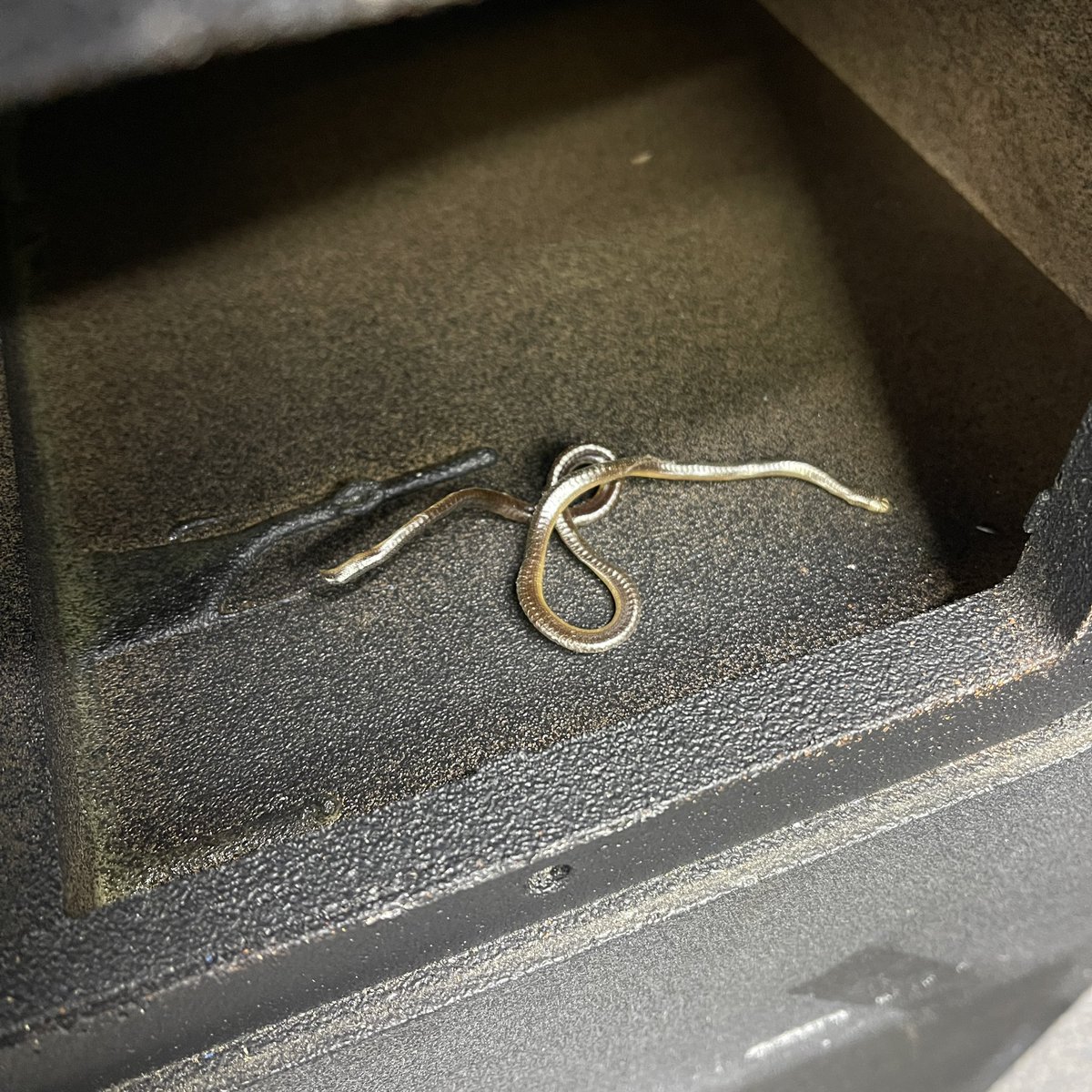 awizard_from_oz's tweet image. The shee-at we find in equipment 🤯
WTF is this.??
Throw me ya best guesses
and yes it does not move 😂