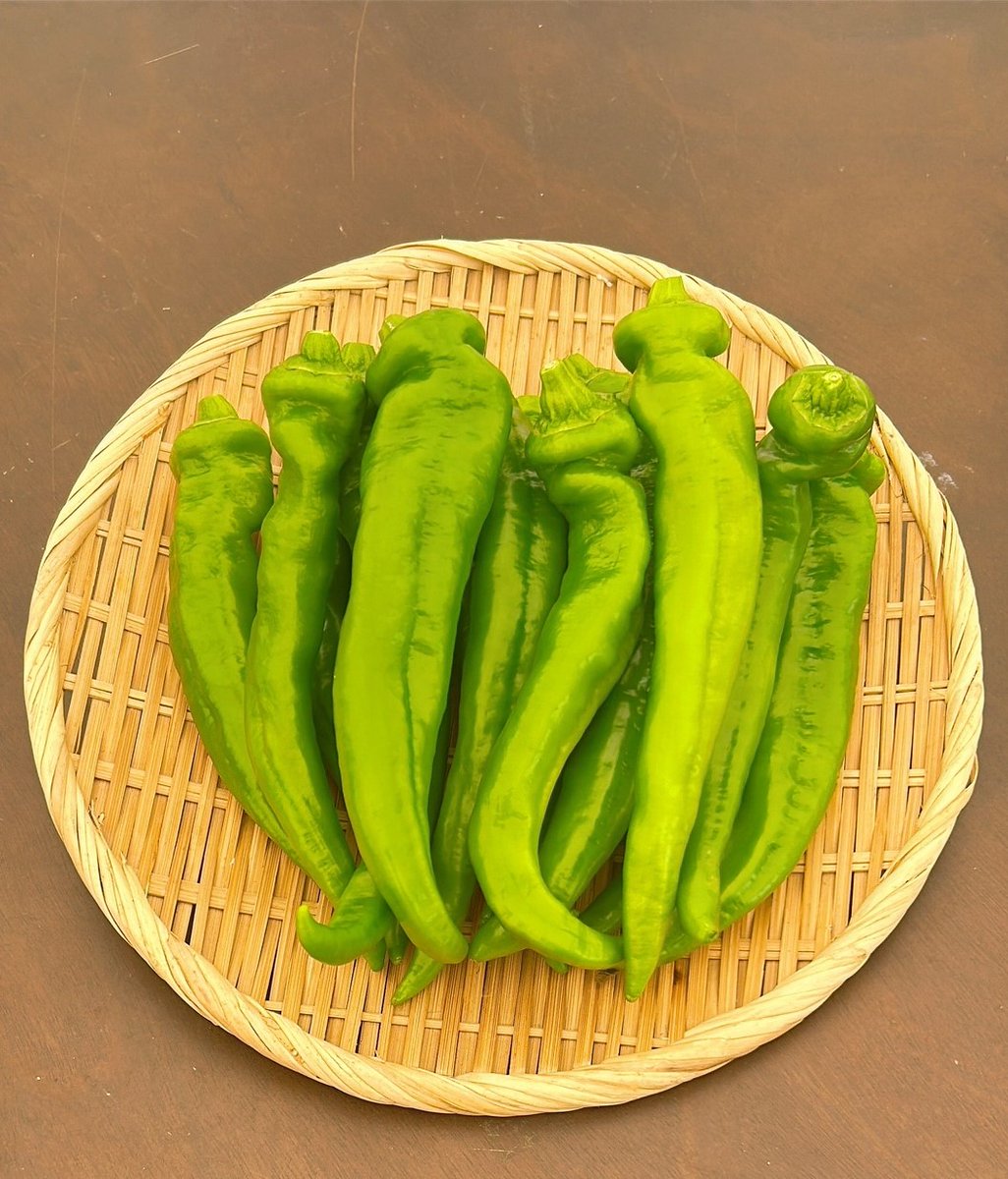 KyotoPrefPR's tweet image. /
来週月曜日19時半から放送の
#あったか京都!(KBS京都テレビ)は…
\
芸人の #アルミカン が 京都府の就農支援を徹底調査♪
今回は、京のブランド産品のとある野菜の収穫体験などおいしそうなシーンが😊
ぜひお見逃しなく🎶