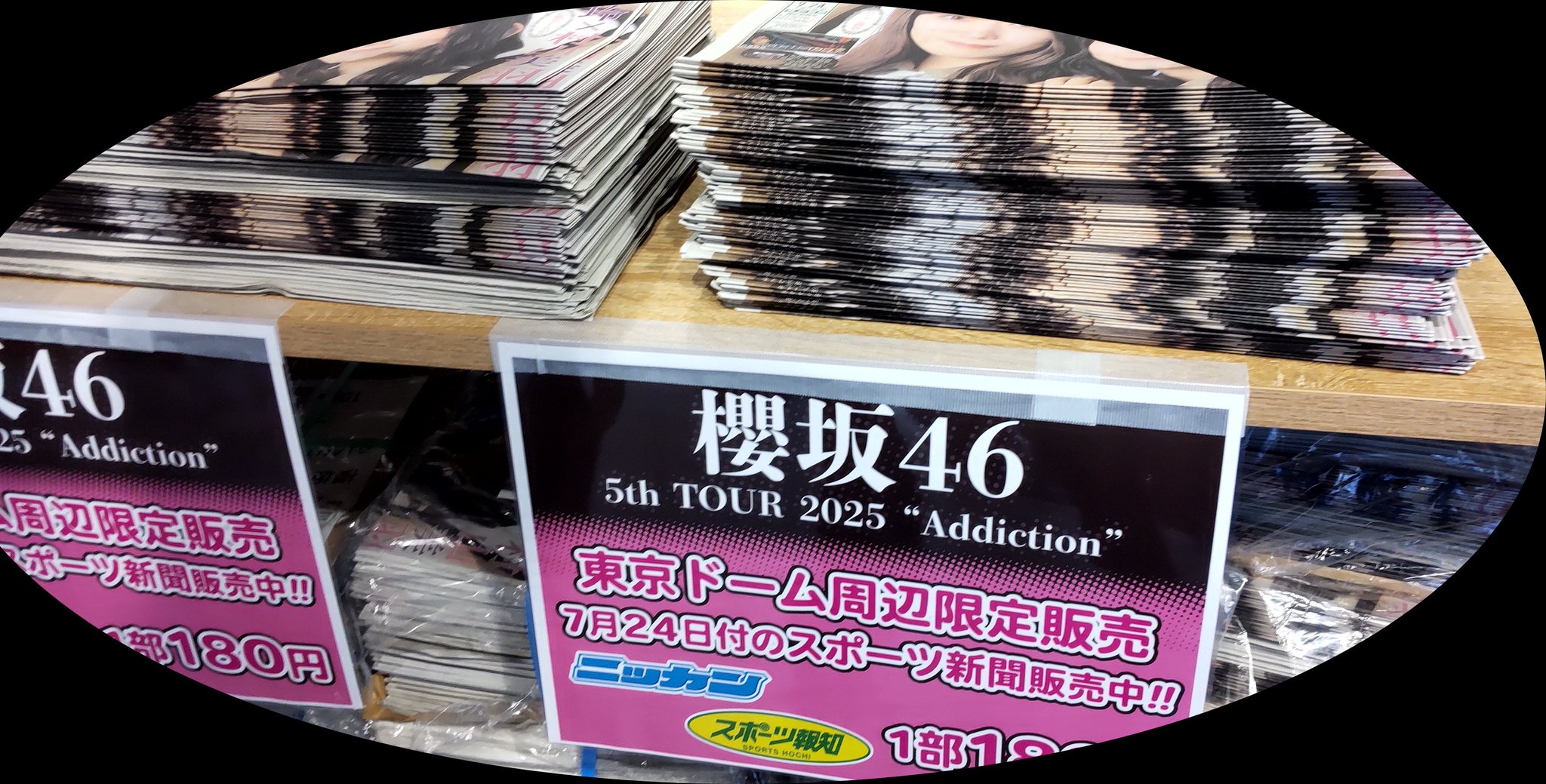 櫻坂46 東京ドーム周辺限定スポーツ報知ニッカン　新聞 24日25日26日　6部 櫻坂46 東京ドーム周辺限定スポーツ報知ニッカン 新聞 24日25日