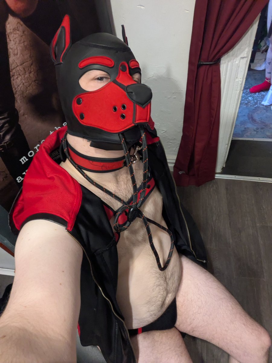 Circuit Blade tweet media