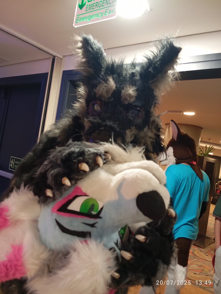 They hurt me... what do u think about It???🥺
.
.
.
.
.
#furry #furryfandom #fursuit #fursuiter