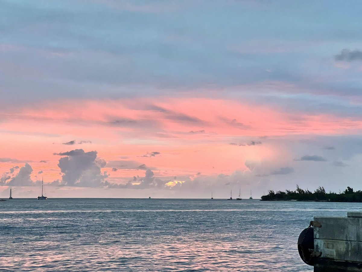 _TheBookishOne's tweet image. Mallory square