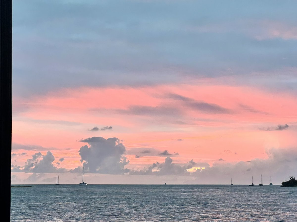 _TheBookishOne's tweet image. Mallory square