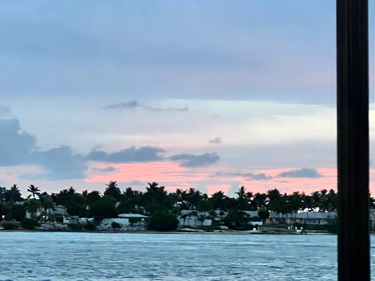 _TheBookishOne's tweet image. Mallory square